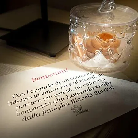 Il Grifo 3*