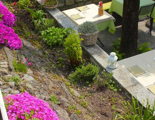 Il Grifo לינה וארוחת בוקר לנו