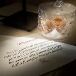 Il Grifo 3*